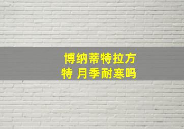 博纳蒂特拉方特 月季耐寒吗